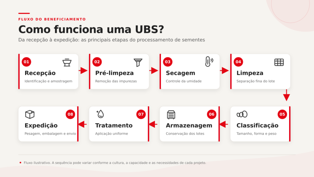 UBS: o que é uma Unidade de Beneficiamento de Sementes e por que investir? 3 etapas beneficiamento sementes ubs silomax